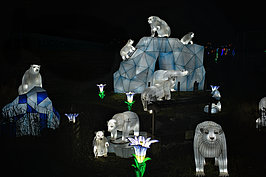 Bernhard Saalfeld - ChinaLightKoelnerZoo2025 (9v9)
